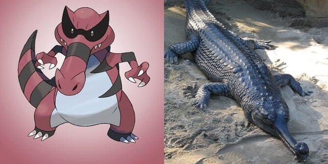 13 Pokemon ini ternyata benar-benar ada di dunia nyata!