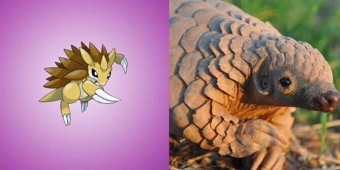 13 Pokemon ini ternyata benar-benar ada di dunia nyata!