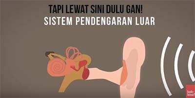 Agan Pernah Benci Suara Rekaman Agan sendiri ngga gan? *Explained with Animation*