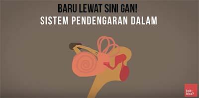 Agan Pernah Benci Suara Rekaman Agan sendiri ngga gan? *Explained with Animation*