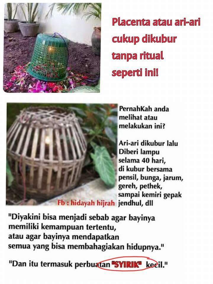 Kenapa Ari-ari Dikasih Lampu?