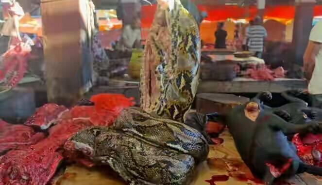 Mual Mulai Terasa Saat Berada di Pasar Tomohon, Manado