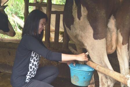 5 Humor dewasa khas orang Indonesia, agak 'nakal' tapi lucu gan