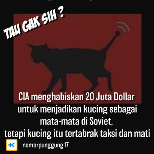 TAU GAK SIH? Beberapa fakta yang mungkin Agan/Sista belom tau nih... 