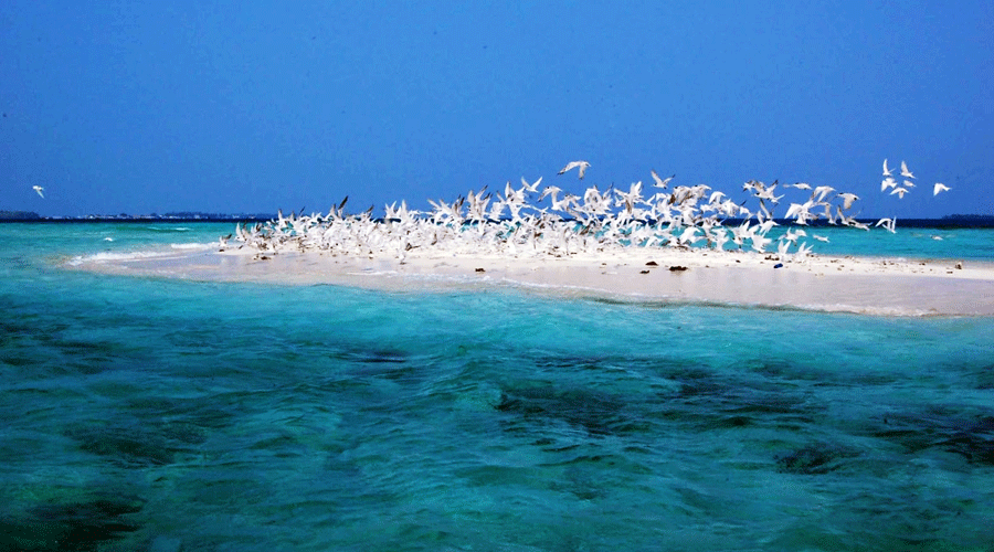 Jangan Pernah Bilang Sudah Keliling Indonesia Sebelum Mengunjungi Pulau-Pulau Ini