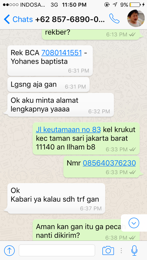 Surat Terbuka untuk Lovebird. Aka Yohanes Bertimor