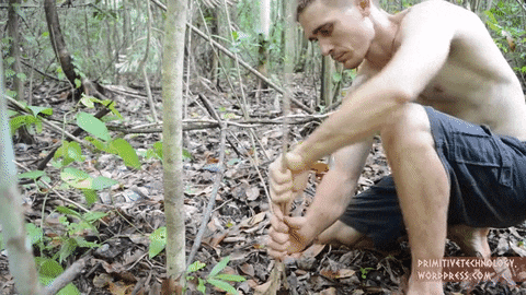≈Ketika waktu membawa-nya kembali ke zaman primitif ≈