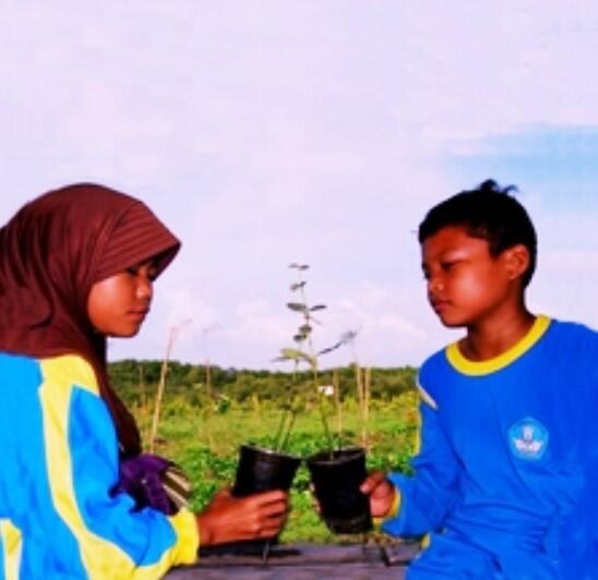 Indahnya Ekowisata Karangsong, Mangrove Center di Wilayah Barat Indonesia