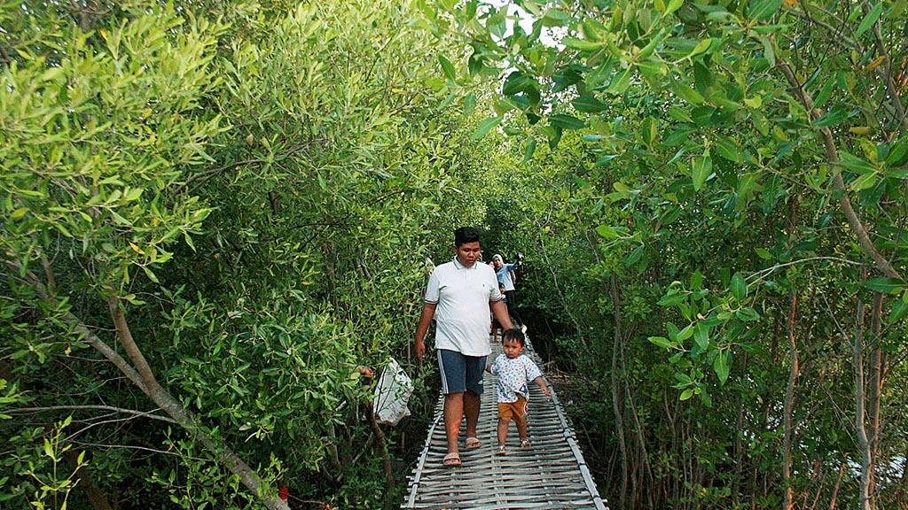 Indahnya Ekowisata Karangsong, Mangrove Center di Wilayah Barat Indonesia