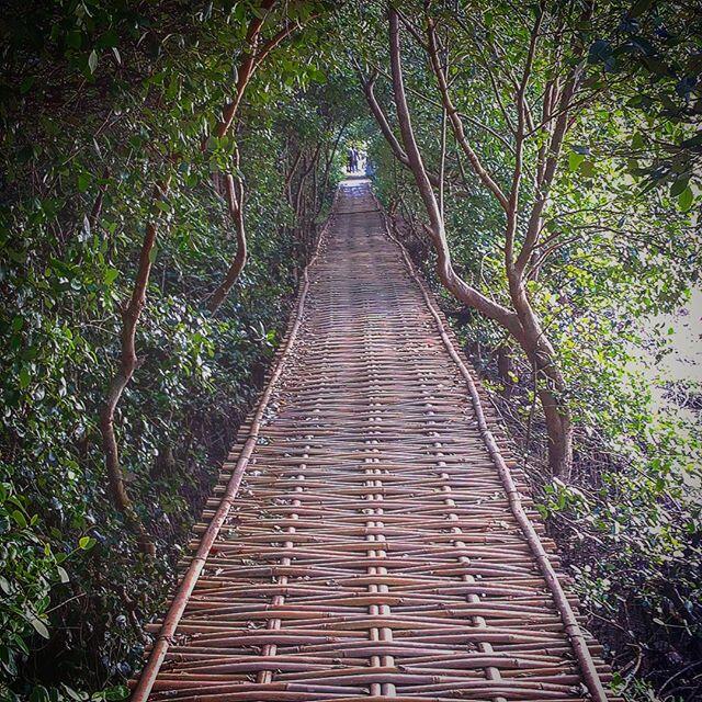 Indahnya Ekowisata Karangsong, Mangrove Center di Wilayah Barat Indonesia