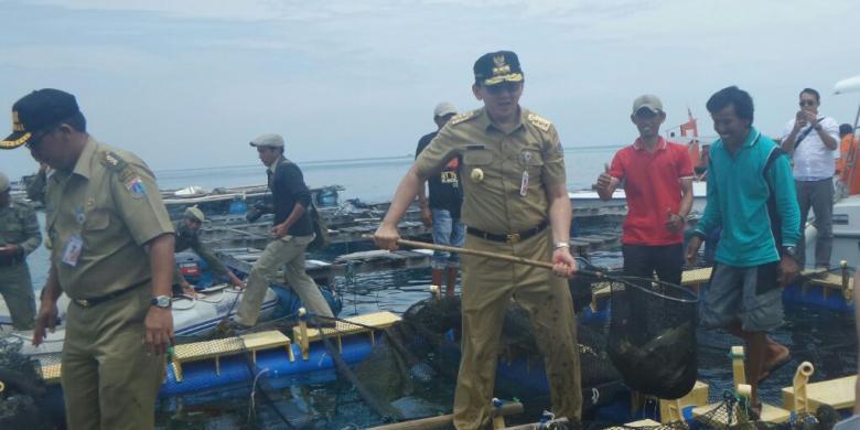 Digugat Rp 14 Miliar, Ahok Gugat Balik Kontraktor