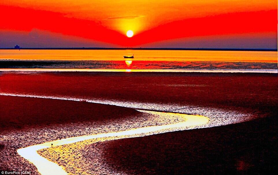 Red Beach Panjin, Hamparan Warna Merah di Sepanjang Mata Memandang