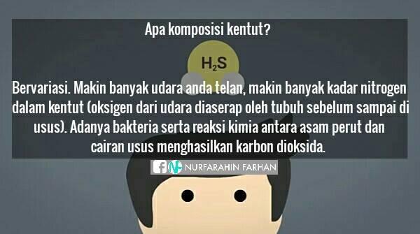 Kentut apa sih? penasaran? sini biar tau :)