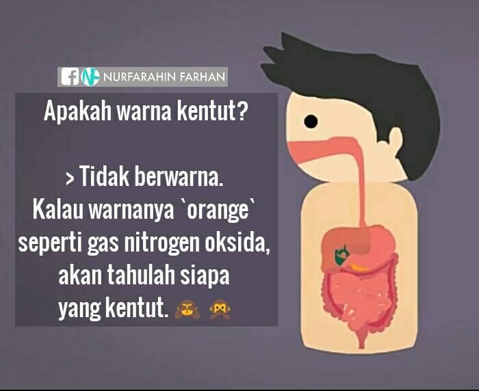 Kentut apa sih? penasaran? sini biar tau :)
