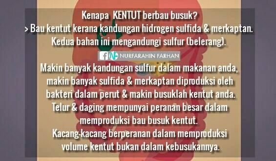 Kentut apa sih? penasaran? sini biar tau :)