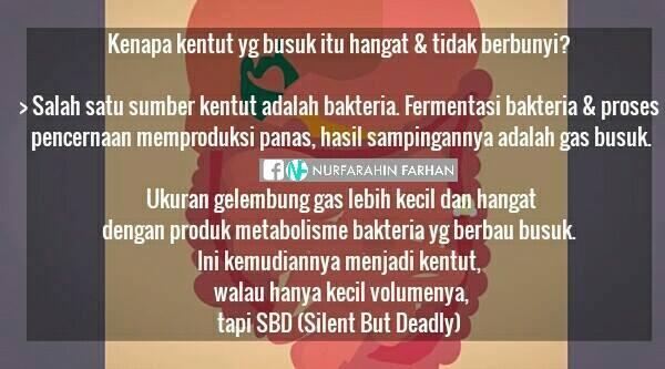 Kentut apa sih? penasaran? sini biar tau :)