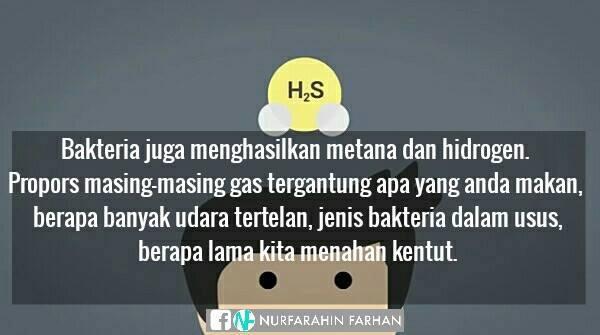 Kentut apa sih? penasaran? sini biar tau :)