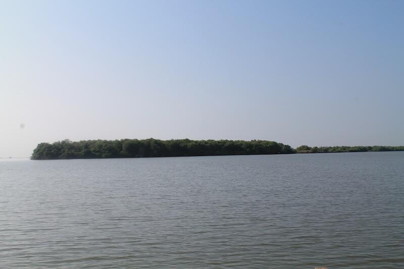 Pulau Sarinah, Pulau Hasil Endapan Lumpur Sidoarjo