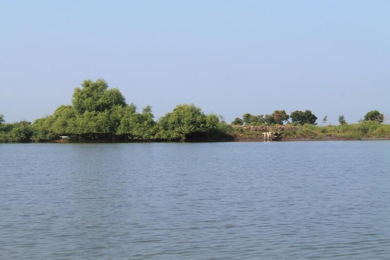 Pulau Sarinah, Pulau Hasil Endapan Lumpur Sidoarjo