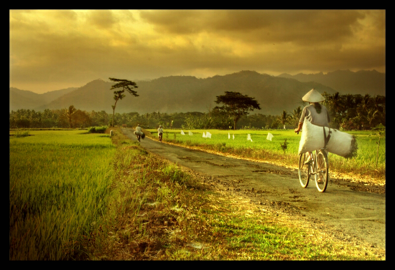 Kisah-Kasih Kehidupan di Kampung