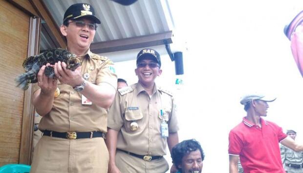 Anies Janjikan Kampung Deret, Ahok: Kasihan kalau Cuma Omong