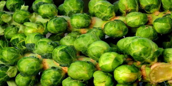 4 Super Food &amp; Cara Mengolahnya