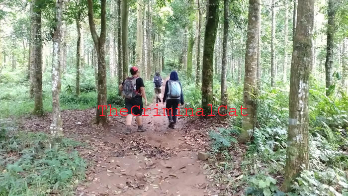 &#91;Catper&#93; Tektok Puncak Salak 1 via Cimelati