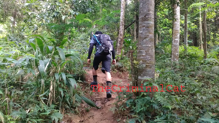 &#91;Catper&#93; Tektok Puncak Salak 1 via Cimelati