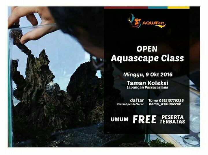 QUICK SETTING AQUASCAPE