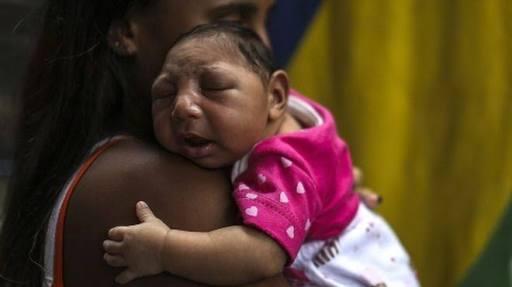 Waspada!!! WHO prediksi virus Zika menyebar di Asia Pasifik