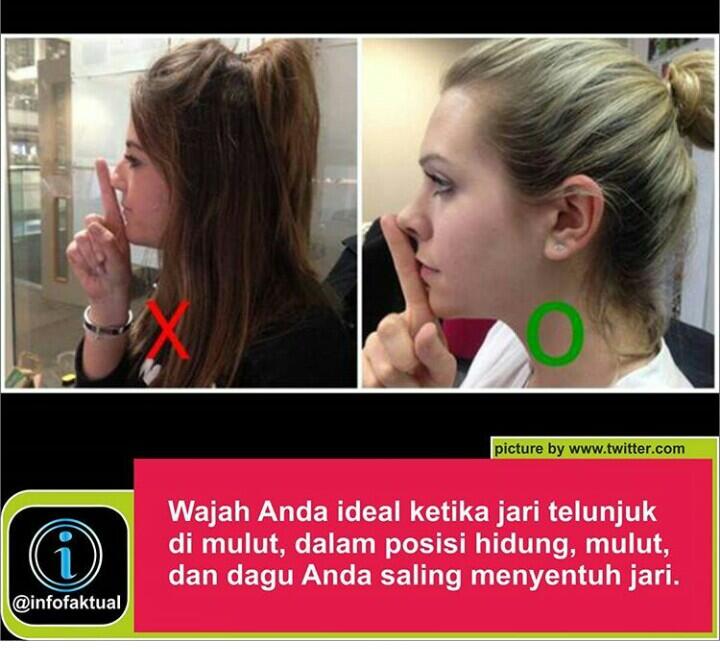 tes wajah mu gan