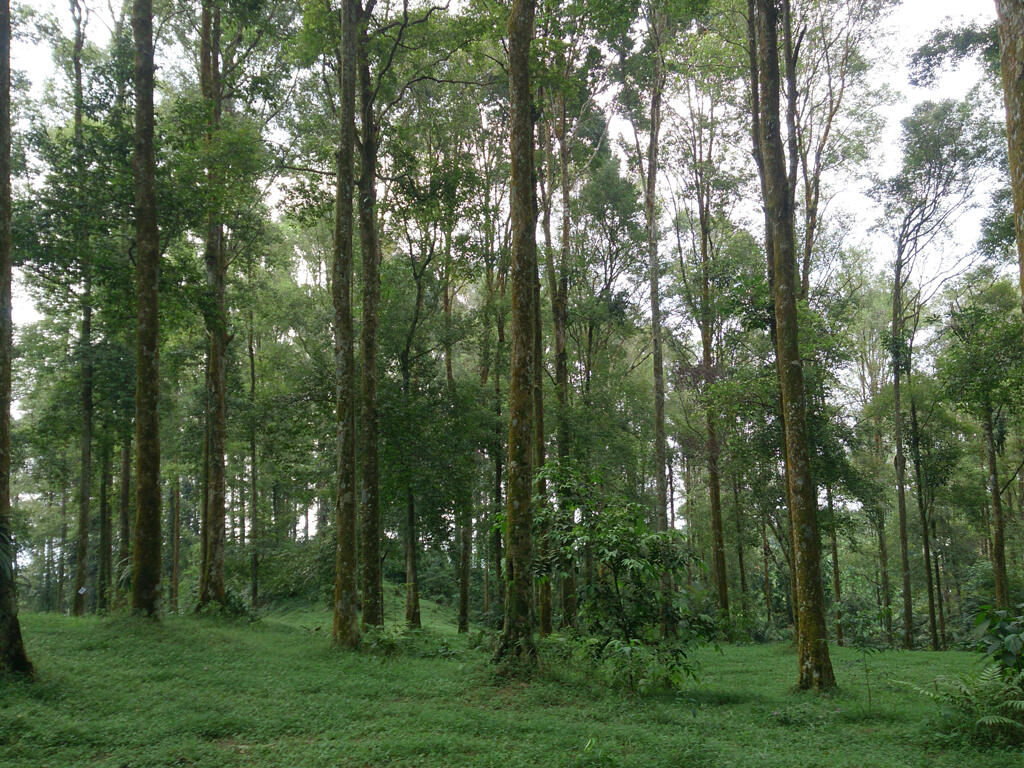 PERJALANAN ISENG TAMAN NASIONAL GUNUNG SALAK 9 SEPTEMBER 2016