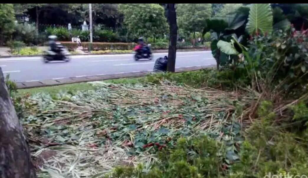 Kondisi Taman Depan Balai Kota Pasca Demo Besar: Rusak Terinjak-injak

