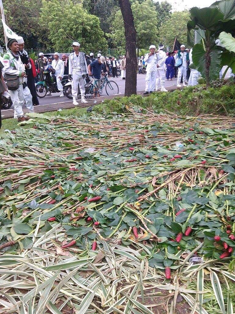 Kondisi Taman Depan Balai Kota Pasca Demo Besar: Rusak Terinjak-injak

