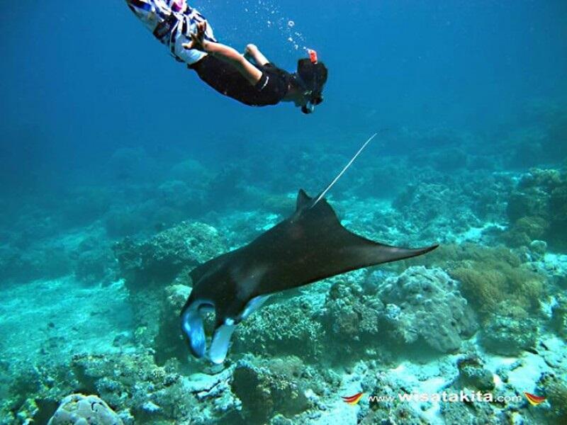 Kepulauan Derawan Punya Pesona yang Begitu Menggoda, Yakin Ga Pengen kesana?