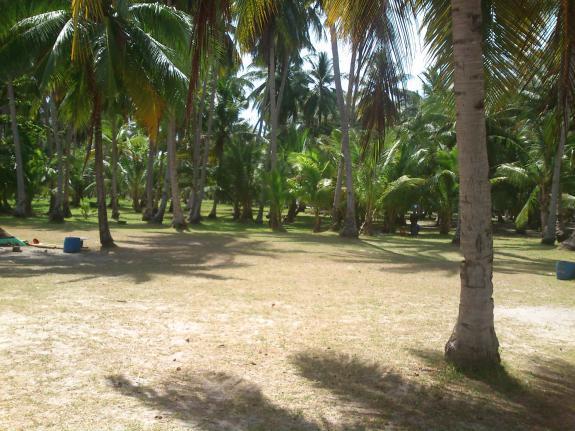 pulau tanpa penghuni tapi Indah banget