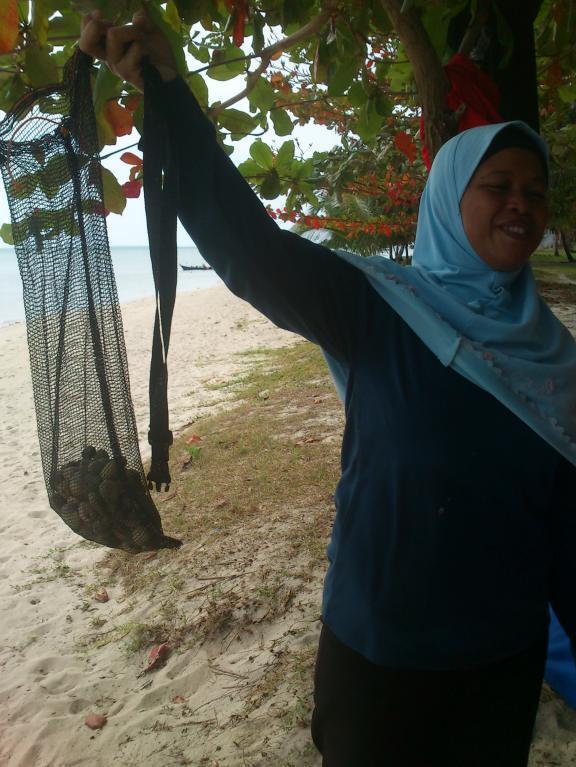 pulau tanpa penghuni tapi Indah banget