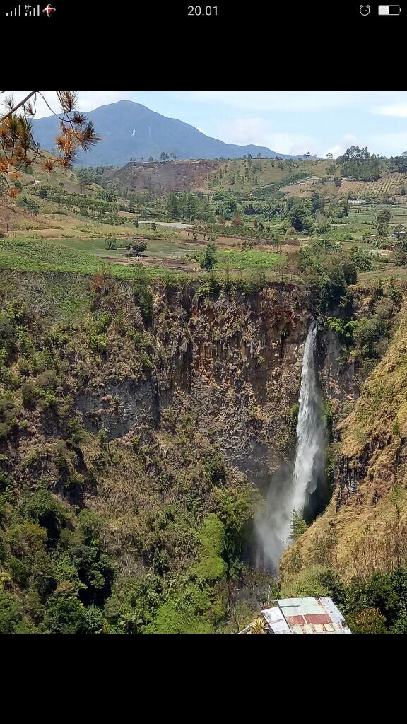 intik sedikit perkebunan ane gan.