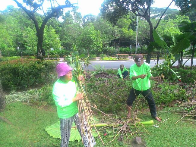 Bertemu Lagi dengan Tuti, Pekerja Taman yang Pikat Ahok karena Usir Pendemo