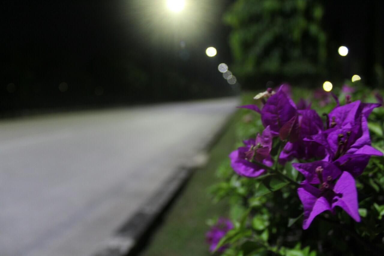 foto outdoor malam
