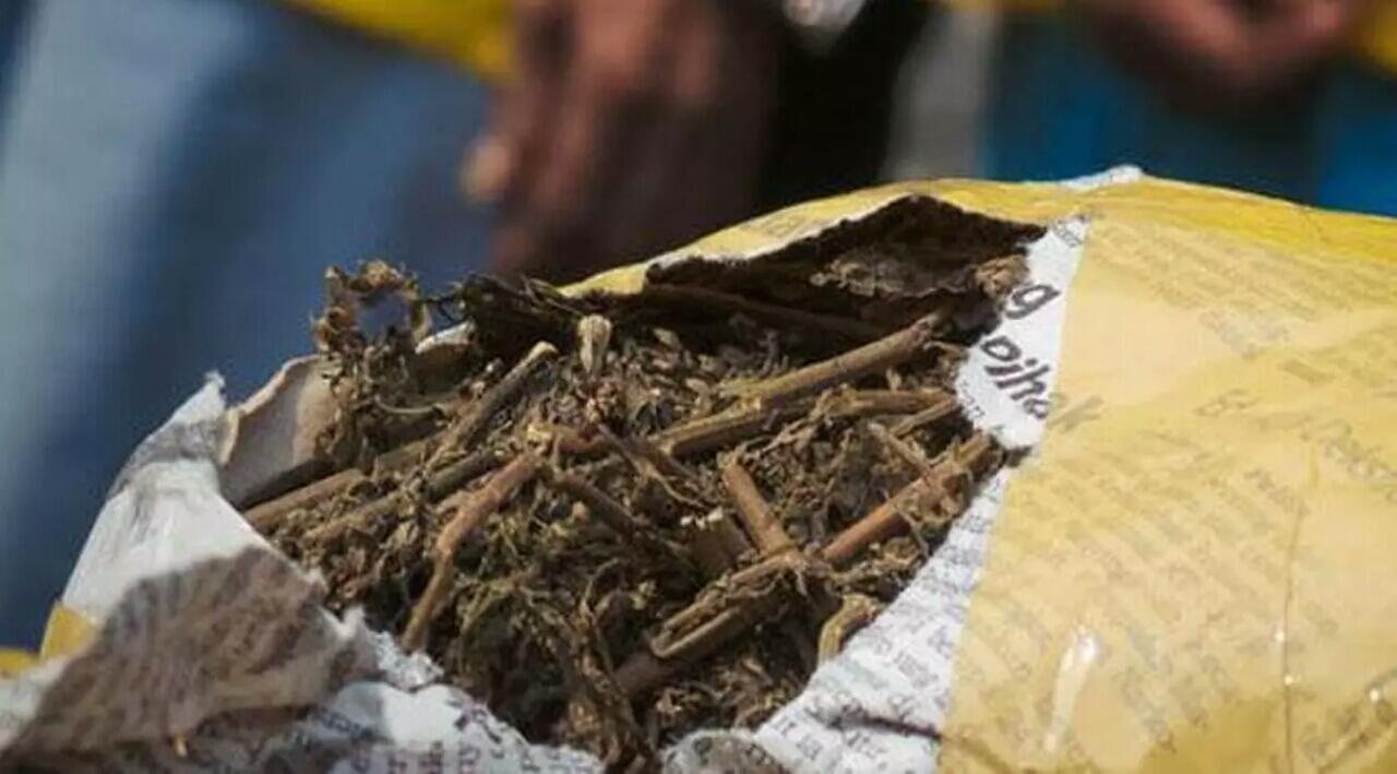 (Wkwkwk + Pic) Bawa Ganja, 7 Jakmania Jalan Jongkok Telanjang Gan
