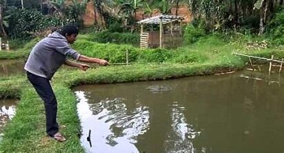 Tempat yang asik buat lu menyendiri bray, ah elah