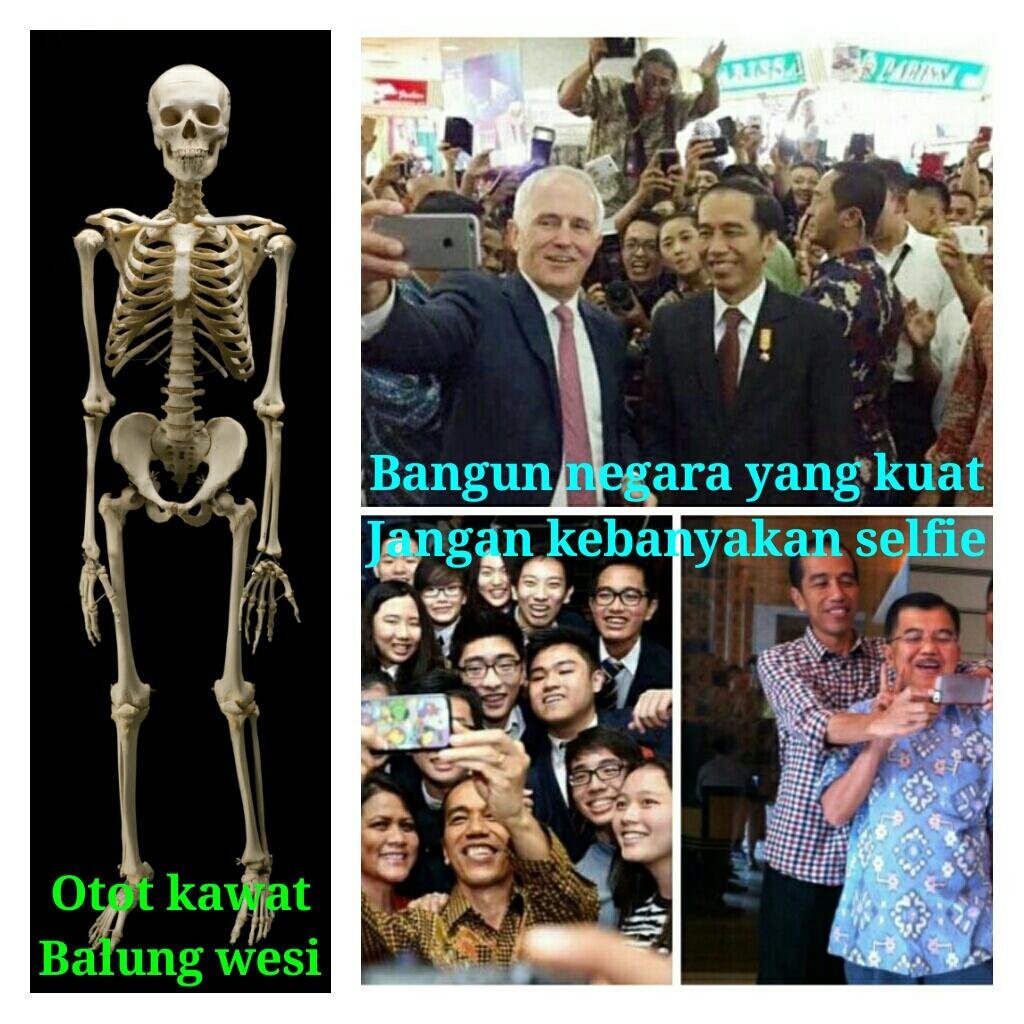 Jokowi, Jokowi, Penekno Blimbing Kuwi