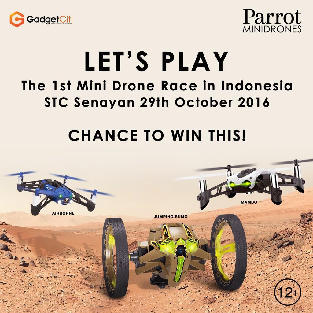 Mini Drone Games Competition 