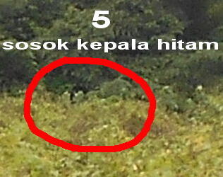 Cerita Horor Saat Identifikasi SITU  KASKUS