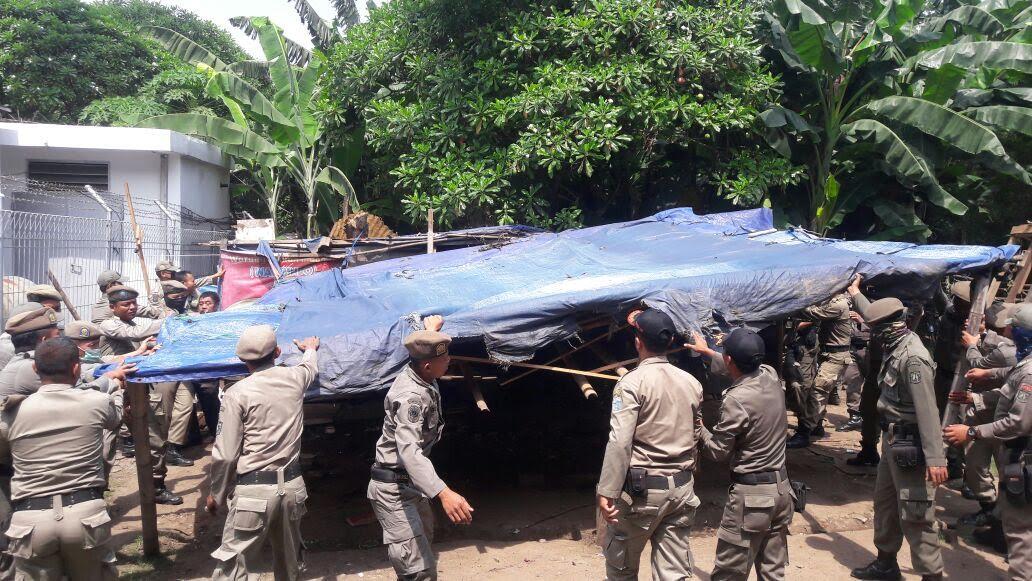  Puluhan Bangli di Pademangan Dibongkar Satpol PP
