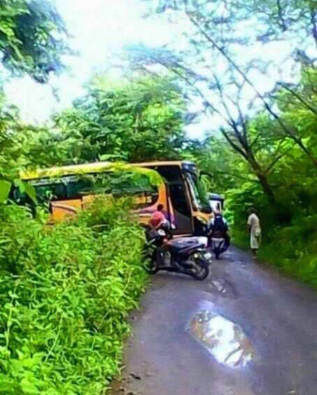 Misteri dan Fakta tentang Bus yang Mendadak Ada di Tengah Hutan Blora