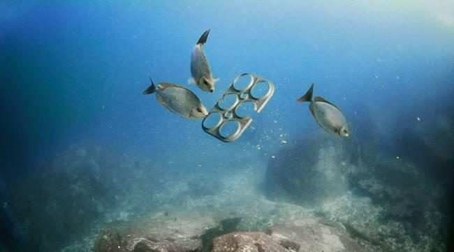 Inovasi Keren Untuk Pecinta Bir dan Mahluk Laut
