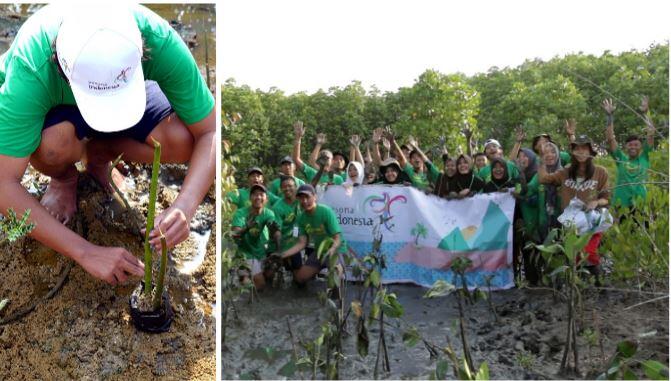 &#91;FR&#93; Mangrove Cultivation 2106 : Mangrove For Traveller