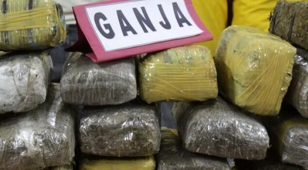 Polsek Tanjung Priok Tangkap Bandar Ganja